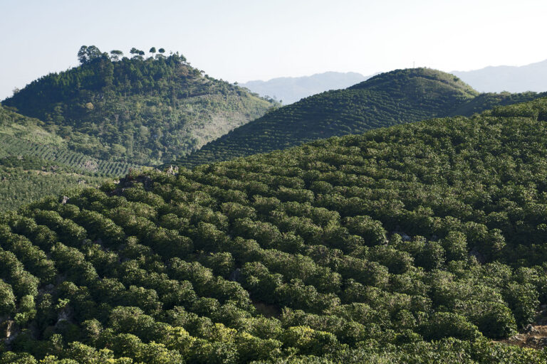 Guatemala